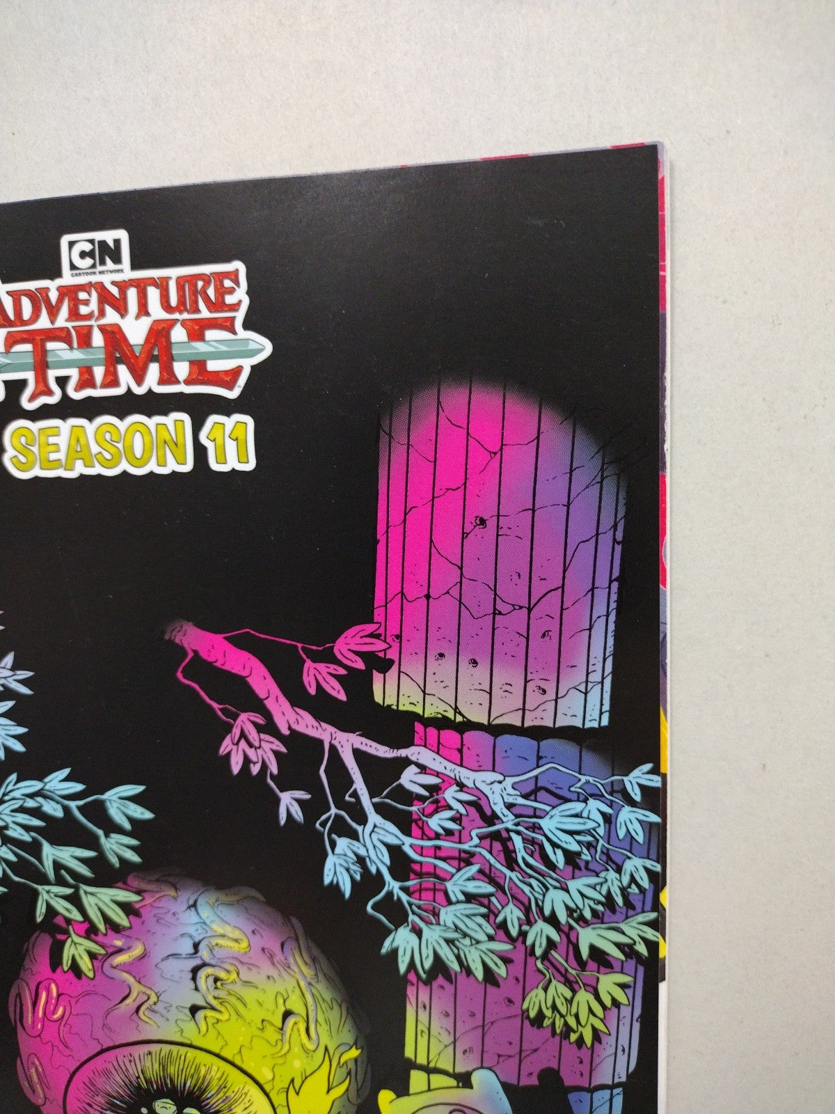 Adventure Time Season 11 #5 (2019) Boom Comic Retailer Variant Cover VF-NM